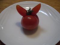 dscf0117.JPG
